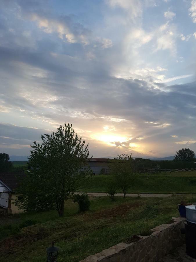 BIO Farma&Penzión Zlatý Hýľ Novacany Exterior foto
