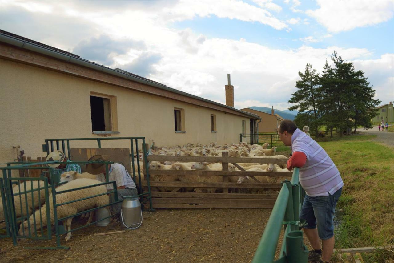 BIO Farma&Penzión Zlatý Hýľ Novacany Exterior foto
